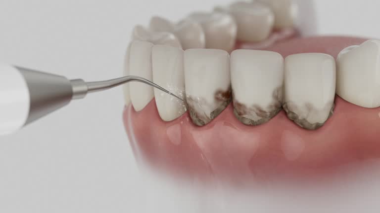 Reliable Dental contractor in Wilson County County, NC by Dentist Open Now